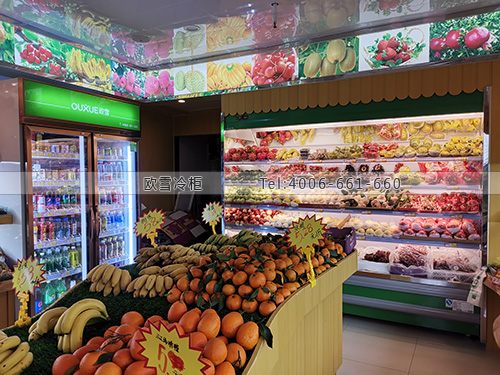 B385廣東省惠州市惠城區(qū)優(yōu)芝果保鮮冰柜