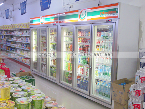 B221惠州億樂佳商場(chǎng)超市冷柜冰柜
