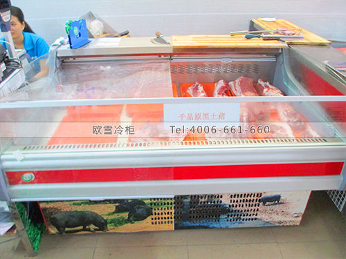 B204廣西南寧千品原生鮮冷柜