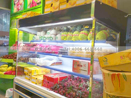 B389福建廈門北站臺灣水果保鮮柜