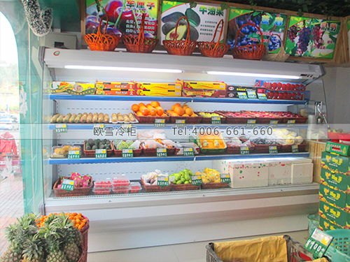 B280廣西南寧碧果甜水果冷柜冰柜
