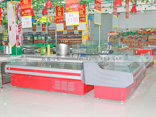 B241廣西欽州舒鑫購物廣場超市冷柜