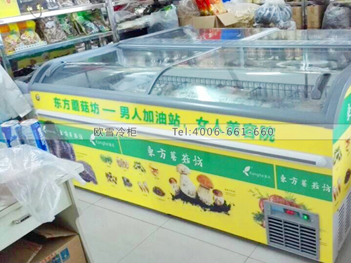 B407四川成都白家東方蘑菇坊低溫冷凍柜