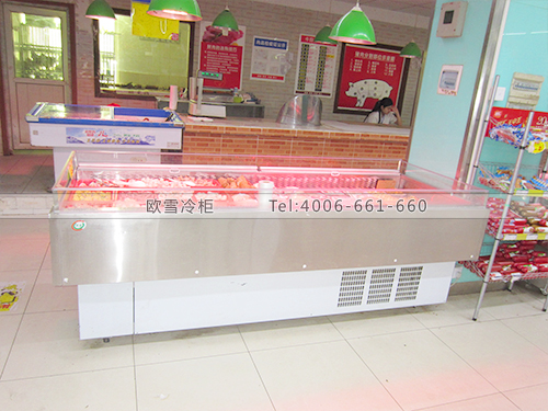 B189深圳寶安興城百貨鮮肉冷藏冰柜