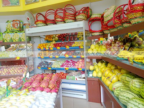 B238深圳南山南關(guān)水果店冷柜冰柜
