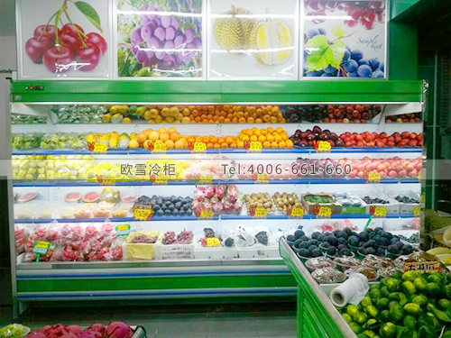 B395佛山禪城區(qū)豐果香甜水果保鮮冷藏柜