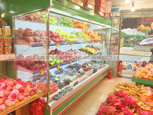 B300廣州越秀旭強(qiáng)水果店冷柜冰柜