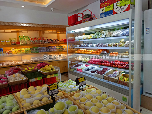 B217廣東省東莞市寮步鎮(zhèn)綠洲果園水果冷藏柜