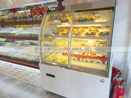 B286北京朝陽(yáng)水果學(xué)院冷柜冰柜
