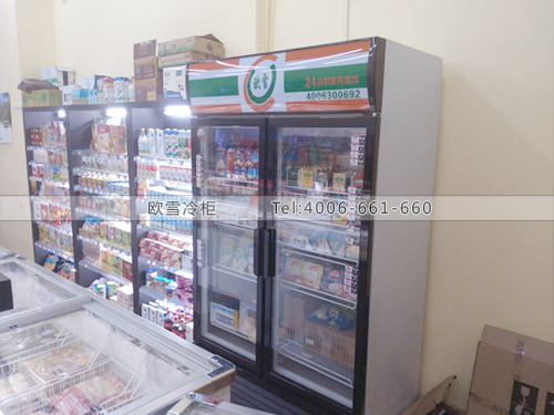 B272深圳南山全味健康食品冷藏展示柜
