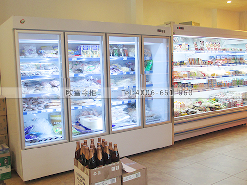 B335東莞東城JAY'S DELI超市冷柜