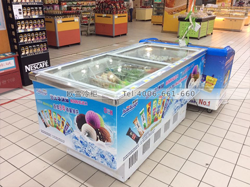 B353湖北武漢武商量販超市冷柜