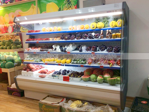 B352湖北武漢水果超市冷藏柜冰柜