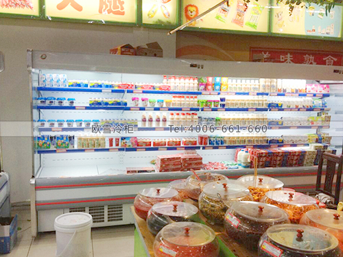 B267湖南吉首順天福超市冰柜