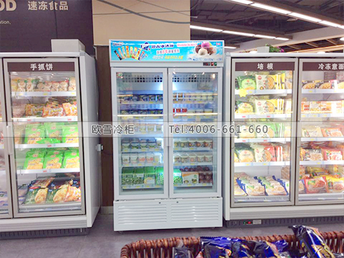 B448湖北武漢漢江區(qū)武商眾圓廣場冷柜冰柜