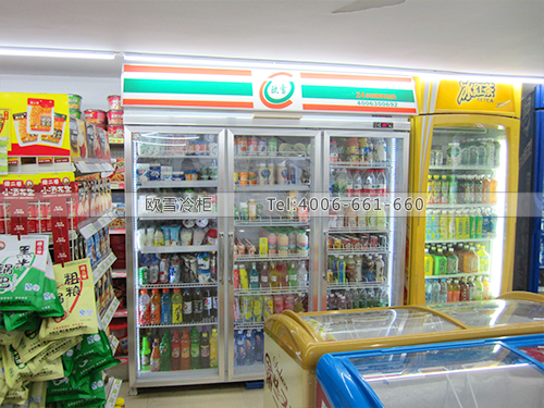 B466上海松江大學(xué)城學(xué)生超市冷柜