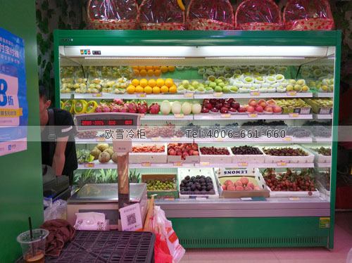 B449廣東省深圳市龍華新區(qū)果然鮮果保鮮柜