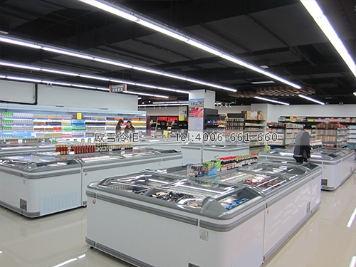 B469上海閔行外高橋進口商品直銷中心七寶店超市冷柜