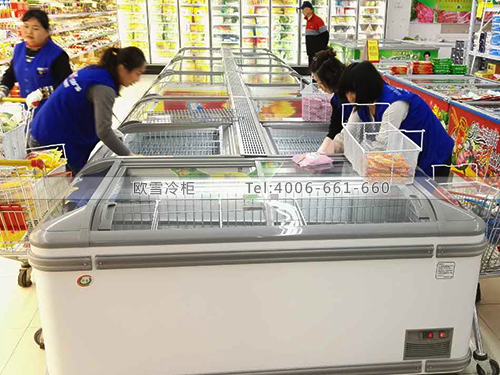 B505上海閔行吉樂買生活廣場臥式低溫冷凍柜