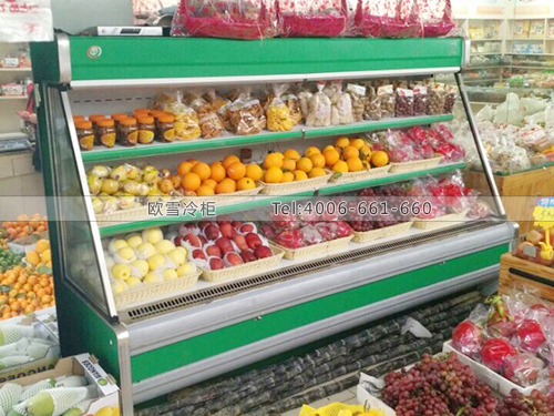 B493湖南長(zhǎng)沙水果炒貨冷柜冰柜水果保鮮柜