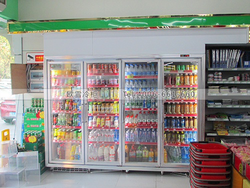 B491廣西南寧易家好超市冷柜