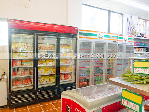 B478四川成都龍泉驛尚品超市冷柜