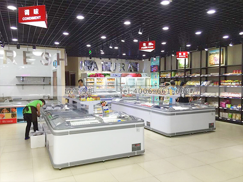 B513湖南株洲味站進(jìn)口商品直銷中心臥式低溫冷凍柜