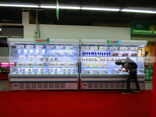 B578四川省成都市溫江區(qū)百益菜市冷藏展示柜