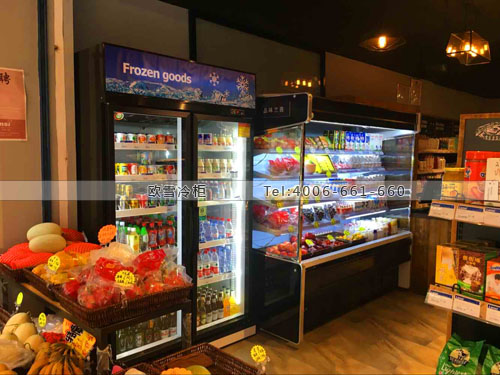 B563福建省廈門市湖里區(qū)LANSI超市冰柜