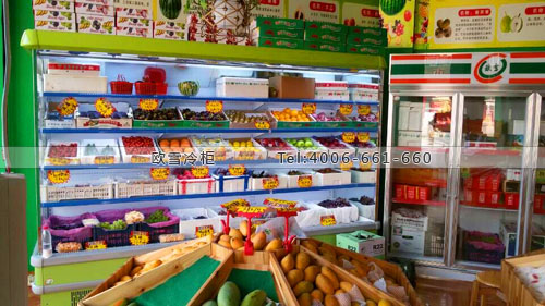 B570浙江省金華市永康市任氏果園保鮮展示柜