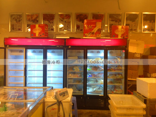 B578福建省福州市倉山區(qū)四俤水產(chǎn)批發(fā)冷凍展示柜