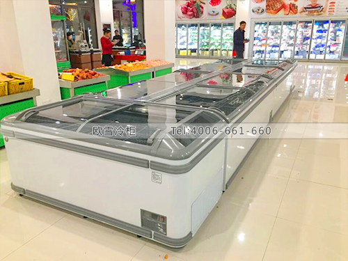 B532江蘇南京綜合保稅區(qū)進(jìn)口商品直銷中心冷柜冰柜