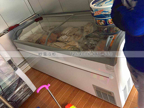 B550深圳福田領(lǐng)鮮海鮮冷凍展示柜