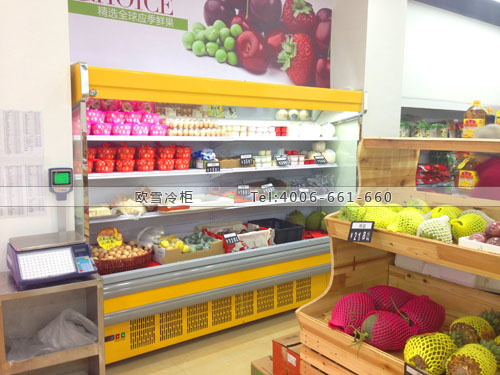 B580福建省福州市鼓樓區(qū)野鮮超市冰柜