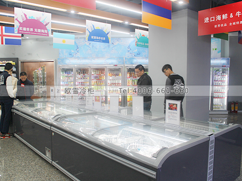 B552深圳羅湖外來貓跨境商品直購體驗服務(wù)中心超市冷柜