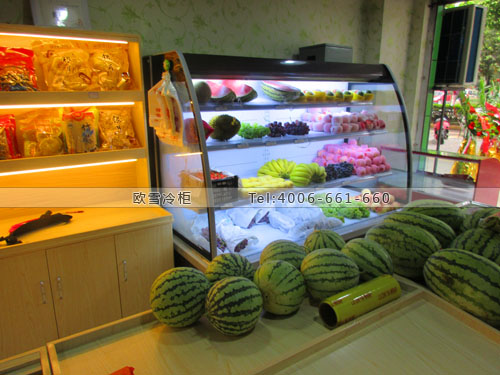B584重慶市永川區(qū)康康果園保鮮柜