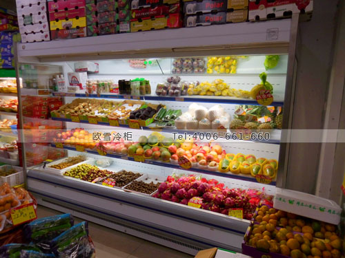 B733湖南省長沙市芙蓉區(qū)果峰水果保鮮展示柜