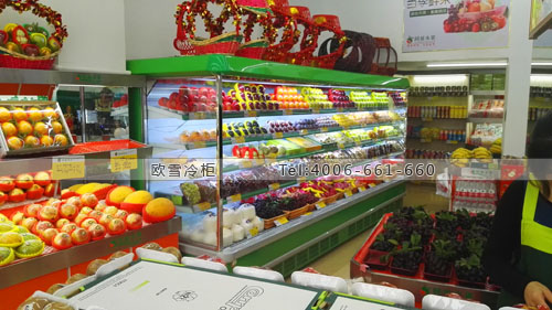 B727福建省莆田市仙游縣阿雄水果保鮮展示柜