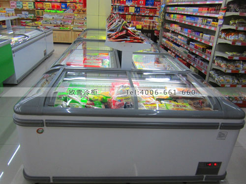 B664上海市浦東萬(wàn)有集市鄰里中心超市冰柜