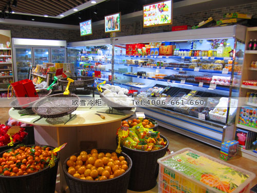 B696江蘇省無錫市錫山區(qū)味好德休閑食品冷藏展示柜