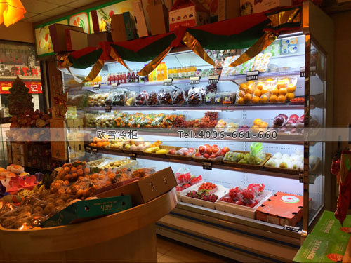 B690重慶市涪陵區(qū)艾果道水果保鮮柜