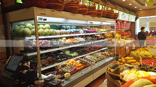 B665上海市松江區(qū)金芙蓉果品水果保鮮柜