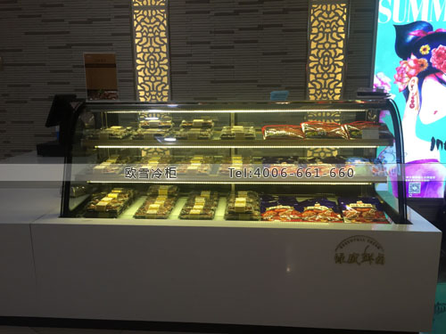 B722浙江省杭州市下城區(qū)綠盛鮮鹵熟食冷藏柜