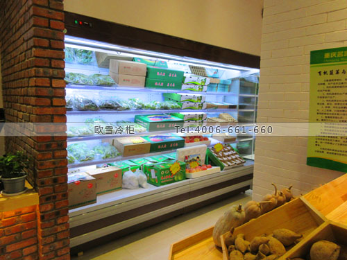 B672重慶市渝北區(qū)有芽農(nóng)場(chǎng)生活水果冷藏柜