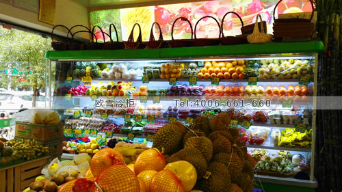 B723福建省福州市古田縣農(nóng)甸園水果店保鮮展示柜