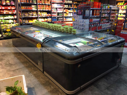 B686重慶市九龍坡區(qū)誼品生鮮超市冷柜