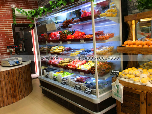 B618湖北省咸寧市通城縣鮮果園保鮮柜