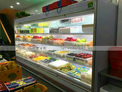 B644江蘇省鹽城市太古水果保鮮柜