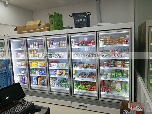 B660上海市浦東新區(qū)環(huán)貿(mào)便民生鮮超市冷柜
