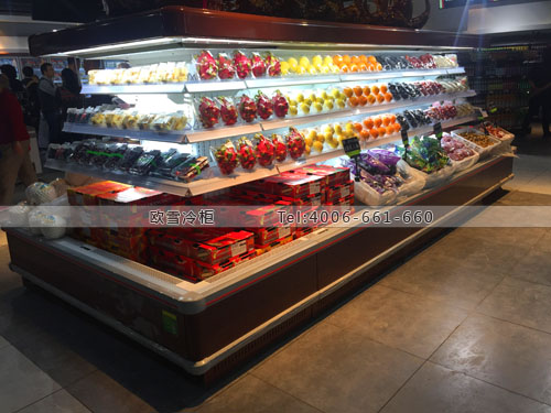 B708上海市閔行區(qū)D.I.G虹橋新華聯(lián)分中心超市冷柜